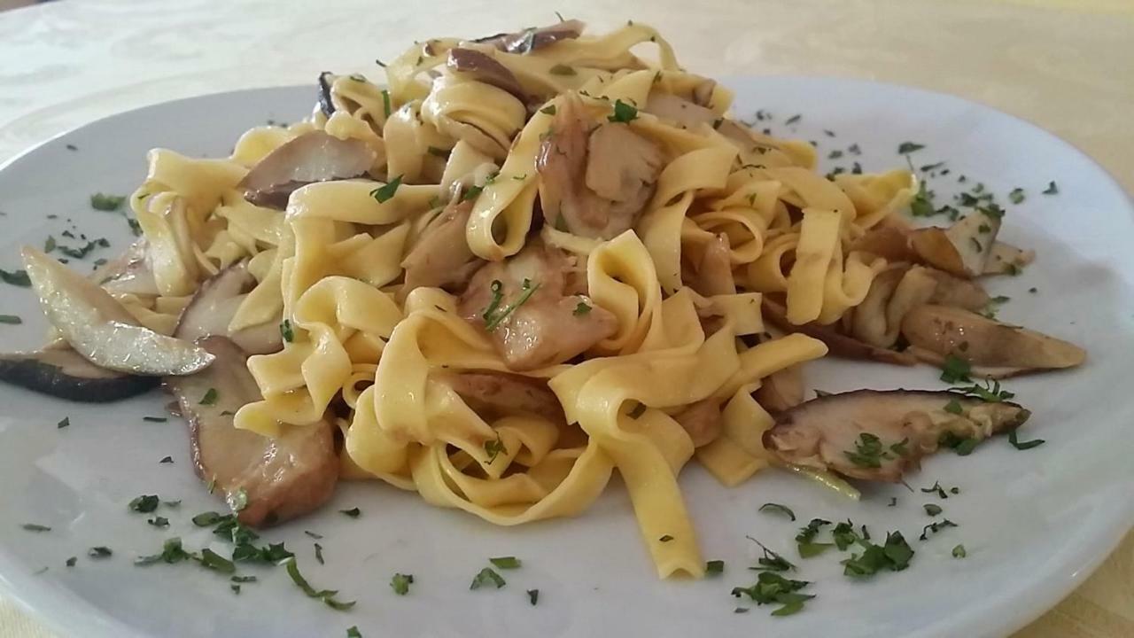 Botton D'Oro Delle Dolomiti Bed and Breakfast Vattaro Εξωτερικό φωτογραφία