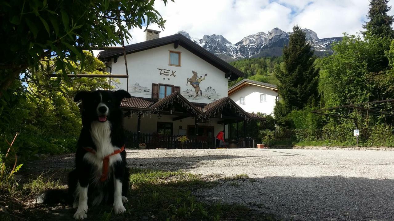 Botton D'Oro Delle Dolomiti Bed and Breakfast Vattaro Εξωτερικό φωτογραφία